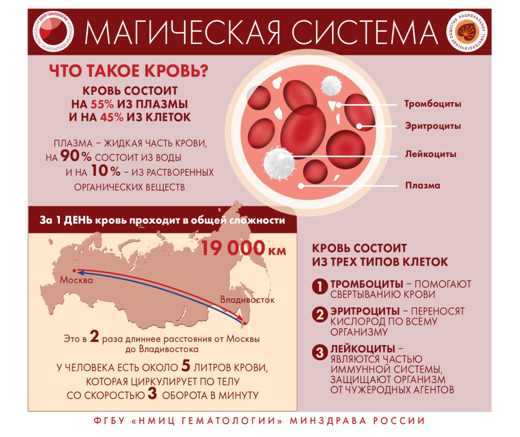 кровь 3.jpg кровь 3.jpg