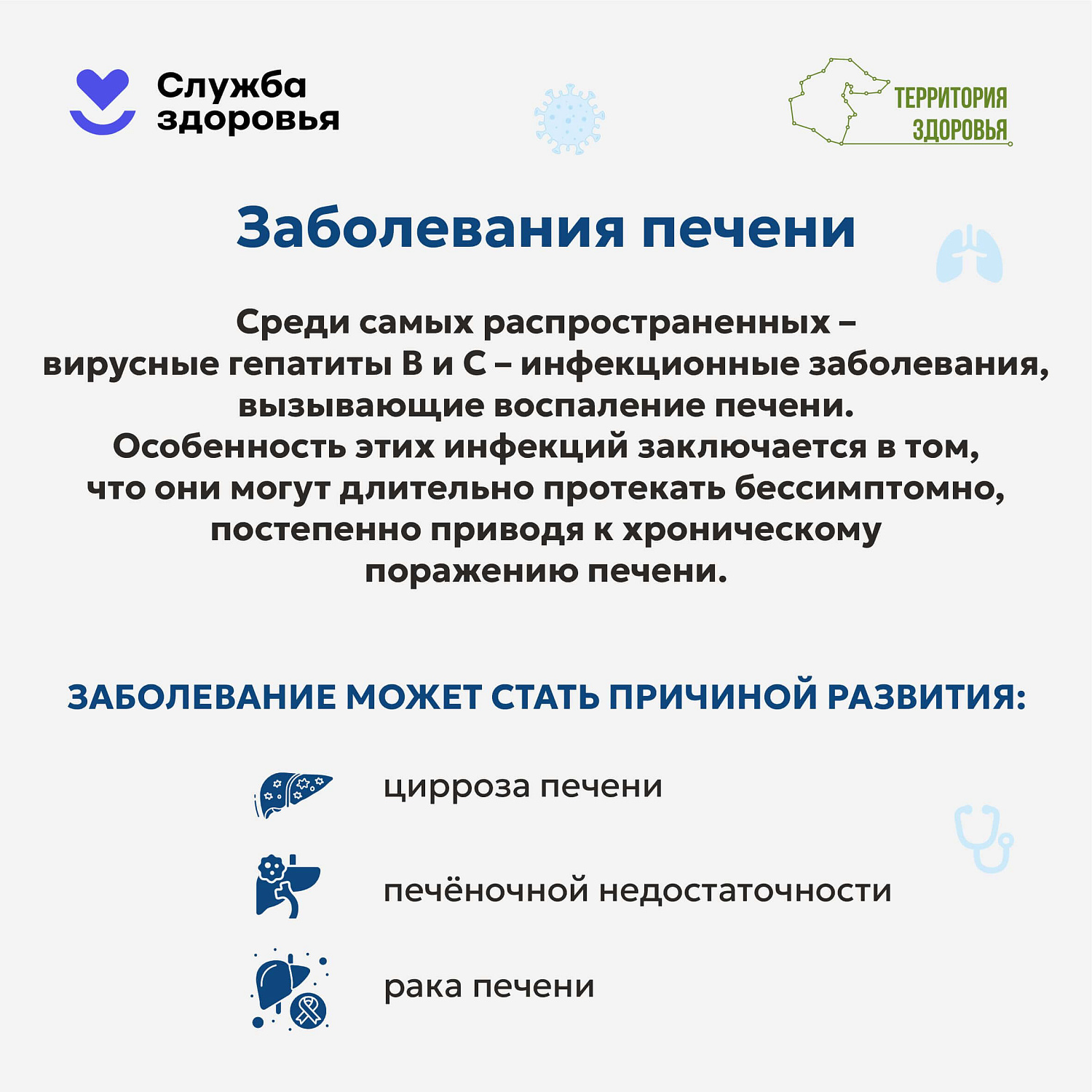 Печень — это не просто орган, это наш главный «фильтр» и щит