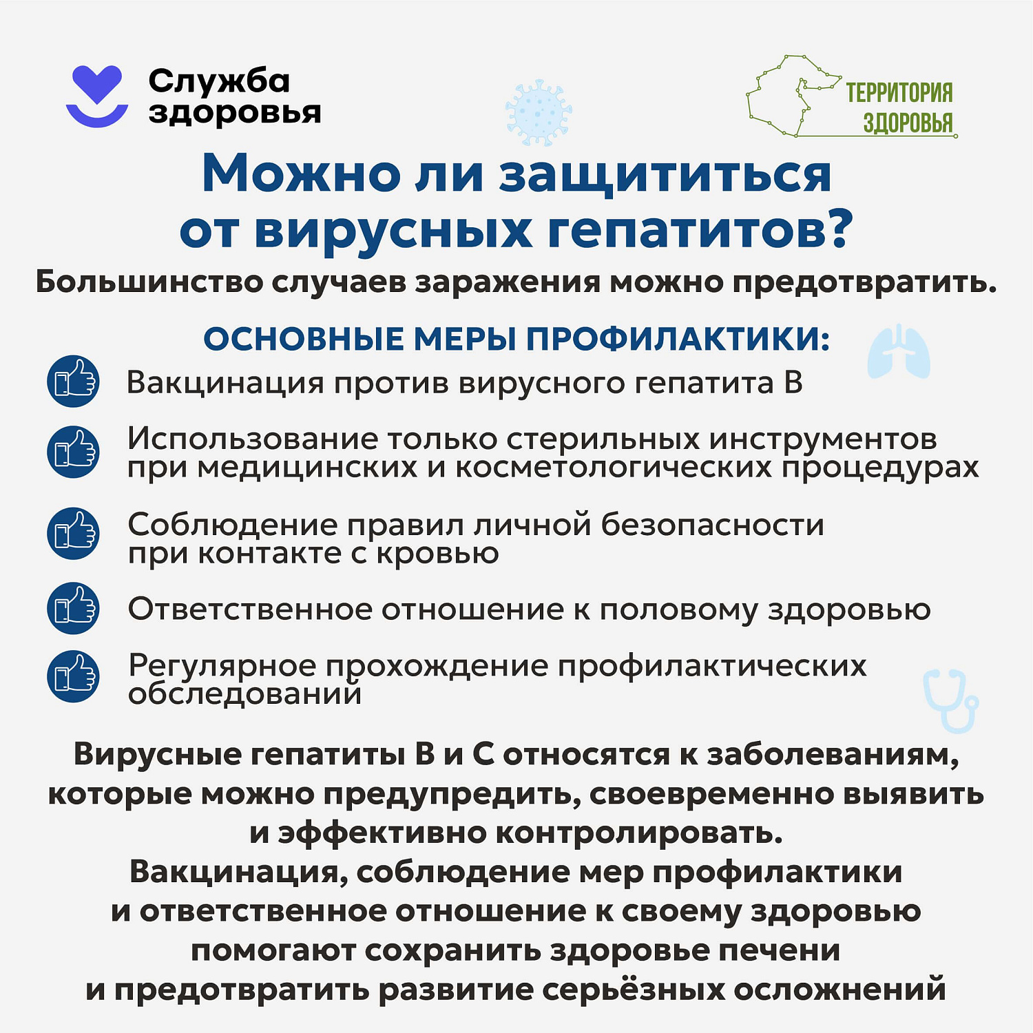 Печень — это не просто орган, это наш главный «фильтр» и щит