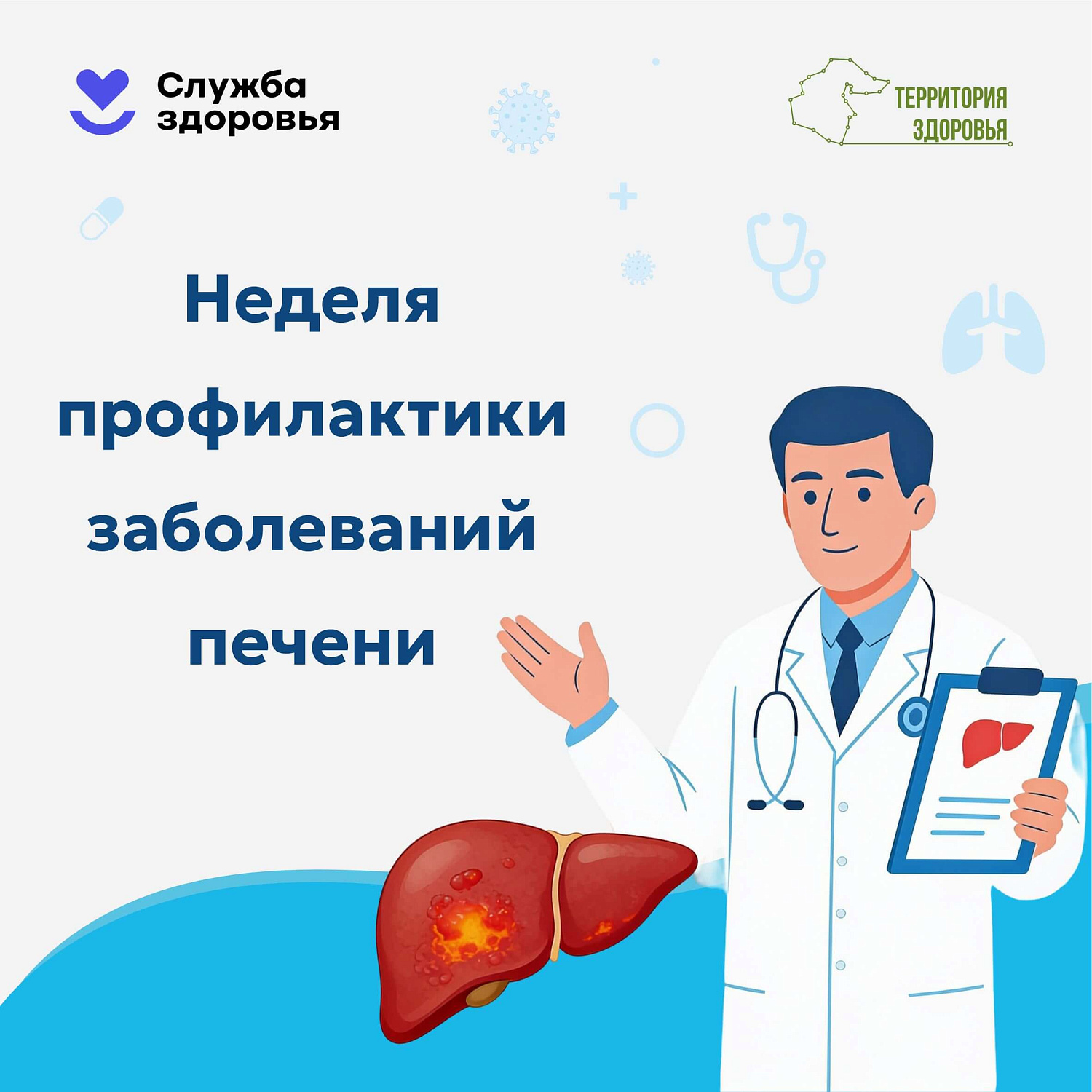 Печень — это не просто орган, это наш главный «фильтр» и щит