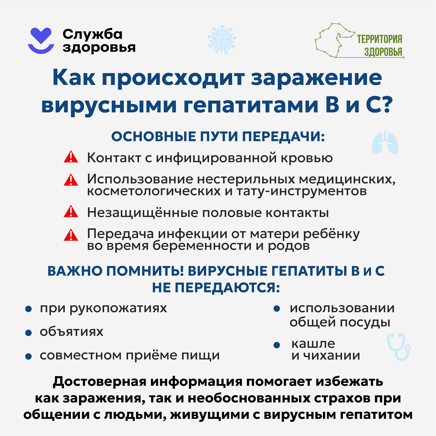Печень — это не просто орган, это наш главный «фильтр» и щит