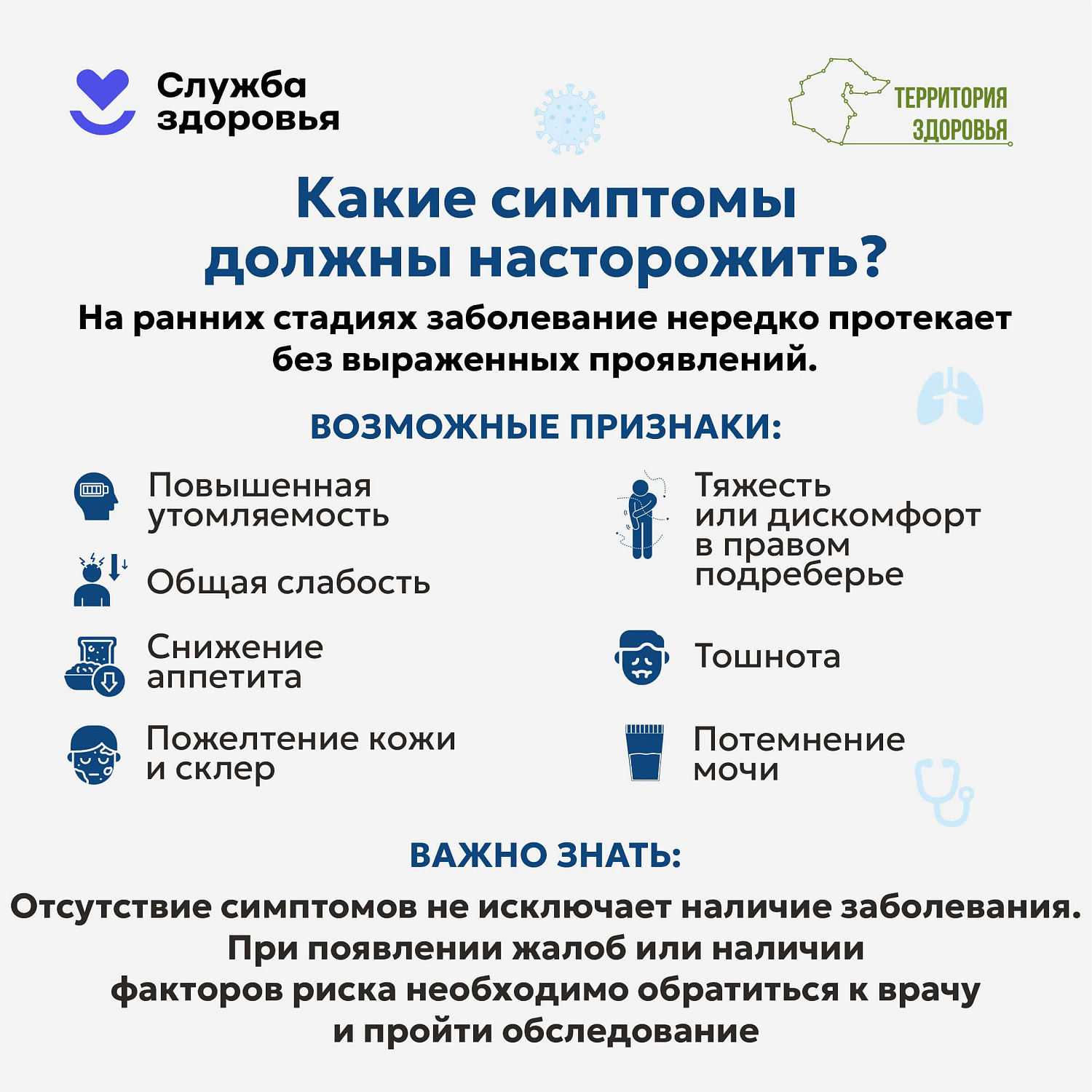 Печень — это не просто орган, это наш главный «фильтр» и щит